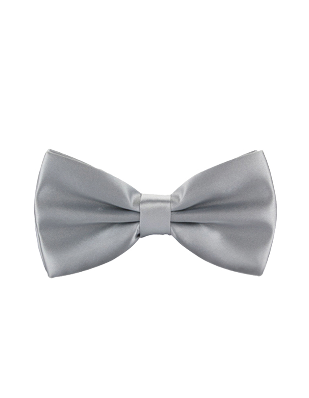 Bow Tie in Silver